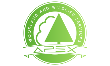 Logo of trees in a circle with Apex Woodland and Wildlife Services around